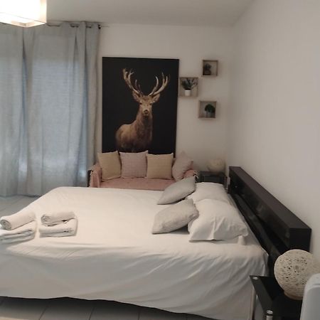 Chaleureux Studio Toulouse Kültér fotó