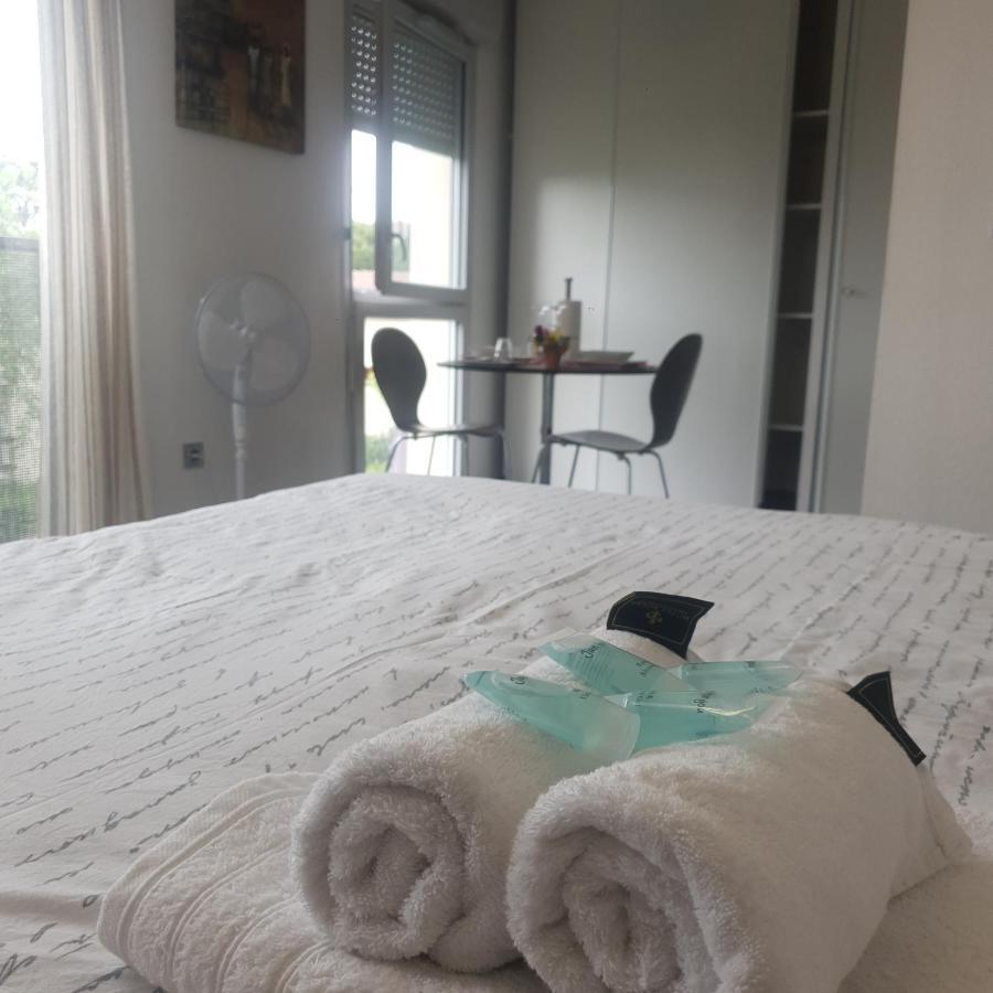 Chaleureux Studio Toulouse Kültér fotó