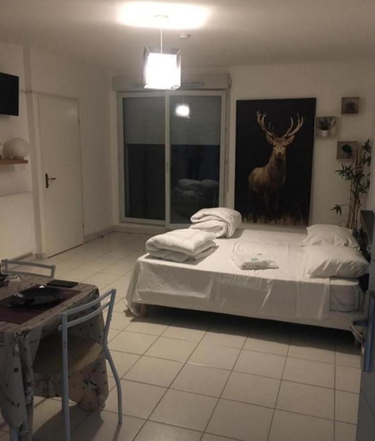 Chaleureux Studio Toulouse Kültér fotó