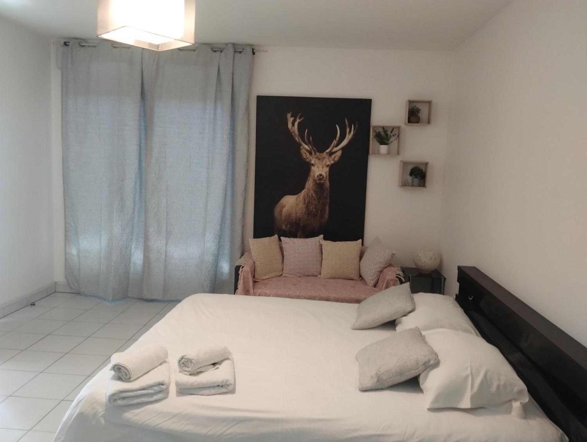Chaleureux Studio Toulouse Kültér fotó
