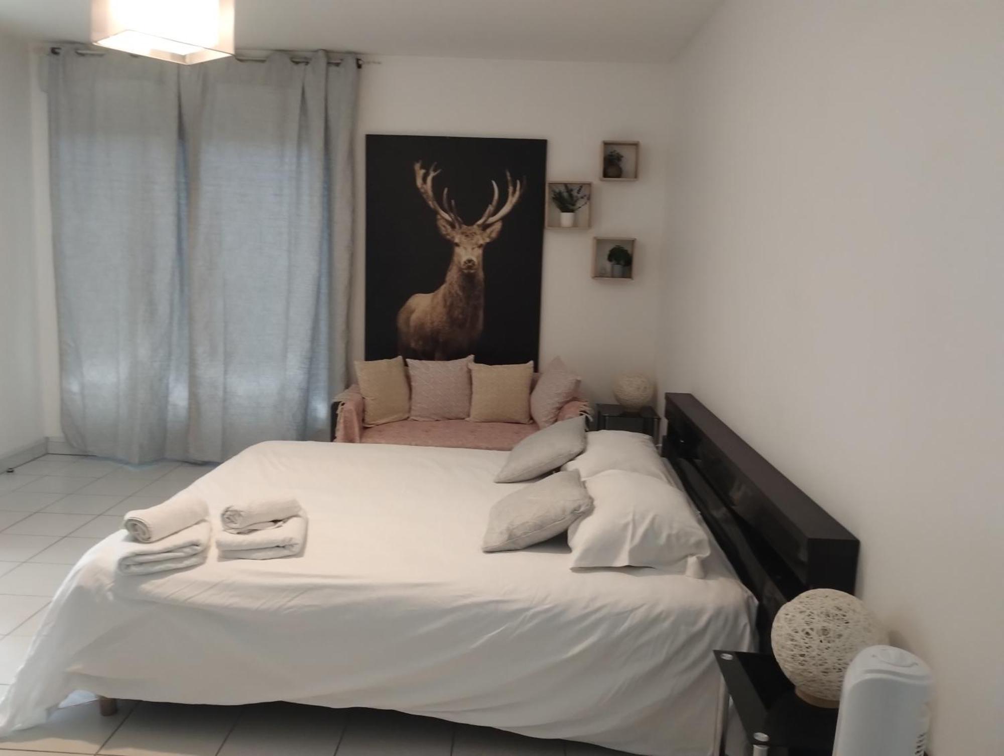 Chaleureux Studio Toulouse Kültér fotó